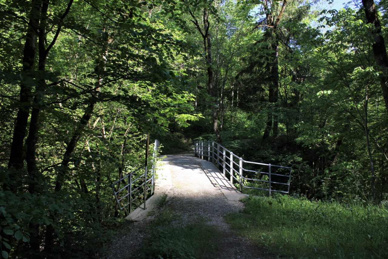 tour du lac de lessoc course